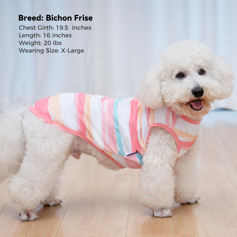 cyeollo 2pack Dog Cooling Shirt, Breathable Sleeveless Summer Clothes for Dogs, Intant Cool T Shirts for Small Dogs, Pink M M-Chest 16"