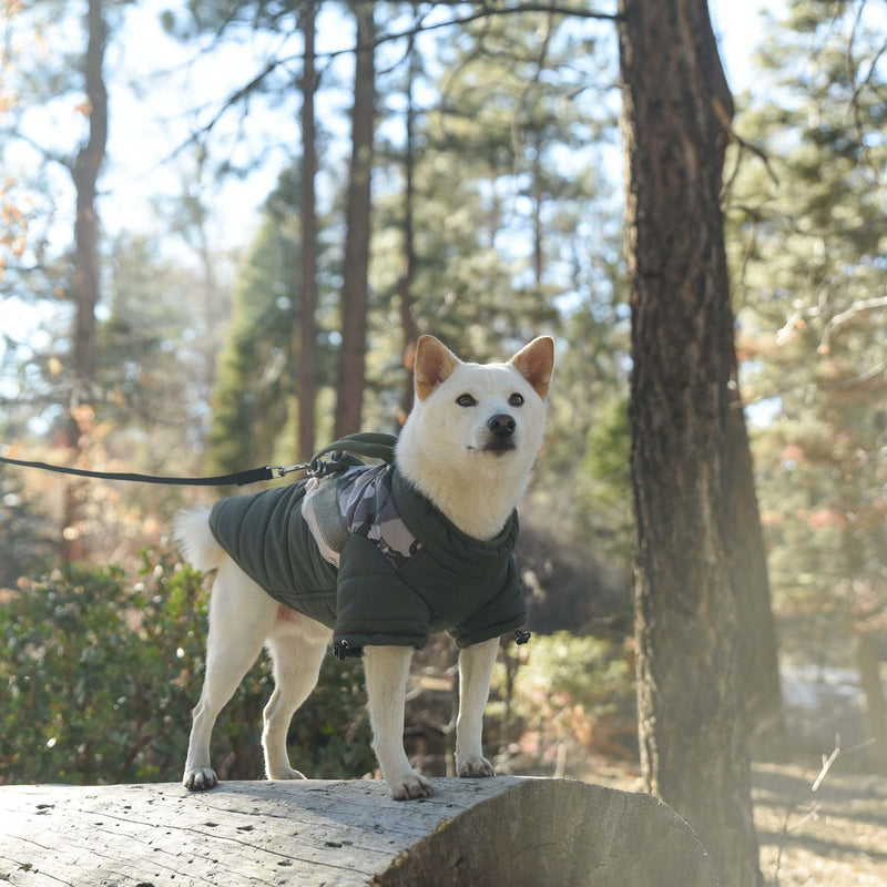 Gooby Mountaineer Jacket Camo - Olive, Large - Waterproof Reflective Lining Jacket with Lift Handle and Leash Attachments for Small Dog and Medium Dog Large (20.25") - PawsPlanet Australia