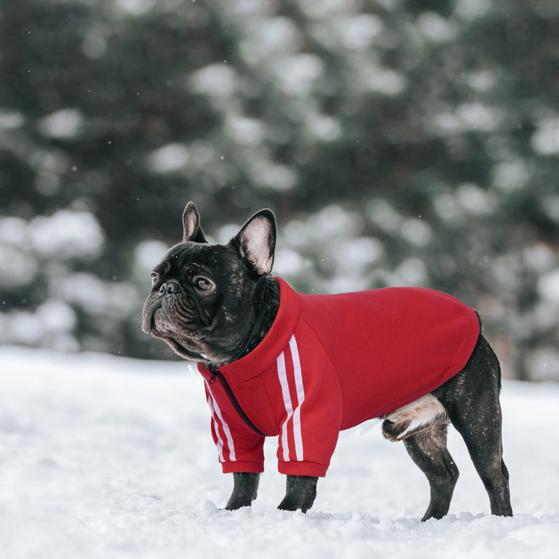 PUMYPOREITY Dog Hoodie for French Bulldog, Pullover Stretchy Dog Hoodies for Frenchie, Soft Dog Sweatshirts, Frenchie Clothes for Cold Weather, Red, L Large - PawsPlanet Australia