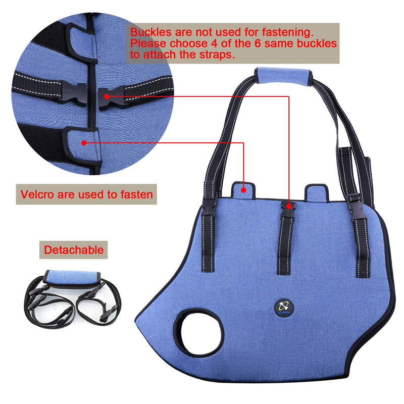 Coodeo Dog Lift Harness, Pet Support & Rehabilitation Sling Lift Adjustable Vest Breathable Straps for Old, Disabled, Joint Injuries, Arthritis, Loss of Stability Dogs Walk Blue Large - PawsPlanet Australia