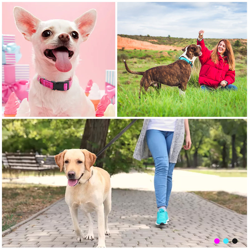 Soft Neoprene Padded Dog Collar and Leash Set for Small Medium Large Dogs, Reflective Durable Nylon Dog Collar with 5ft Leash Easy for Walking, Teal,Neck fit 10.5-15.5’’ S:Neck 10.5-15.5’’, Leash 3/4’’*5ft - PawsPlanet Australia