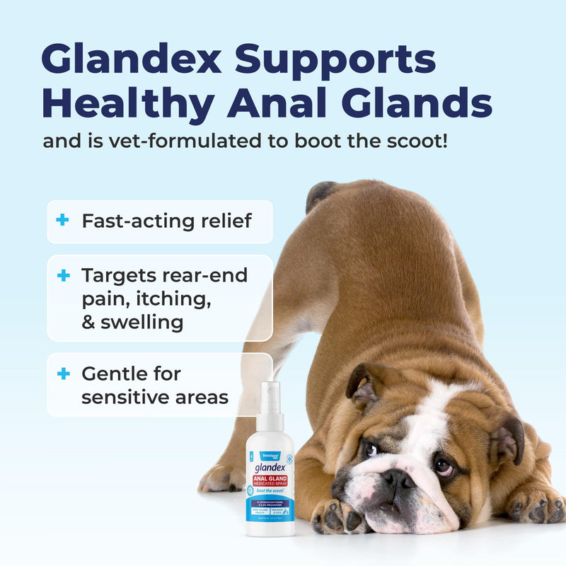 Vetnique Labs Glandex Medicated Dog Anal Gland Spray - Pain Relieving & Anti-Itch Formula to Soothe Inflamed Anal Glands in Dogs & Cats - Fast Acting Clinical Formula - Boot The Scoot (4oz) - PawsPlanet Australia