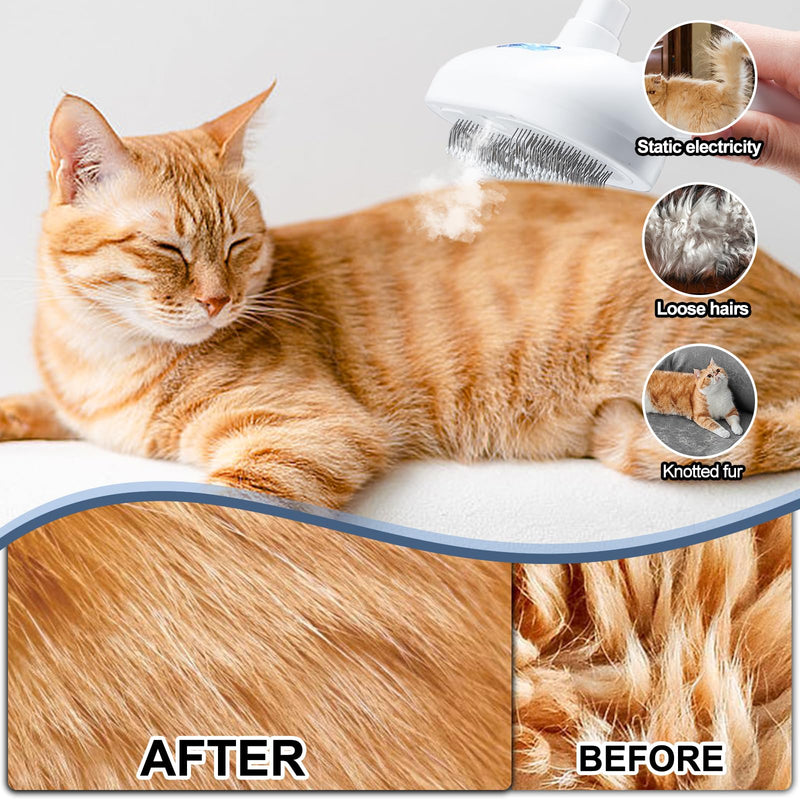 Texsens Spray Cat Brush - Self Cleaning Pet Grooming Brush with Mist & Release Button for Long & Short Haired Dogs Cats, Removing Tangled & Loose Hair - Steamy Cat Brushes for Indoor Cats Shedding - PawsPlanet Australia