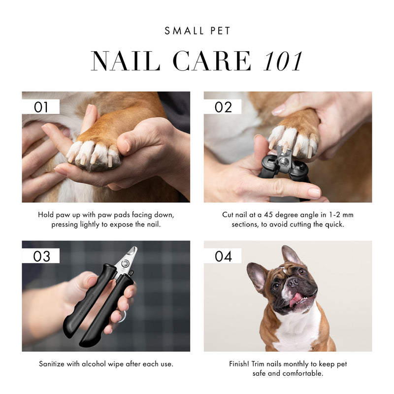 Tweezerman Small Nail Clippers for Dogs & Cats, Manual Professional Dog & Cat Nail Trimmer with Ergonomic Handle - PawsPlanet Australia
