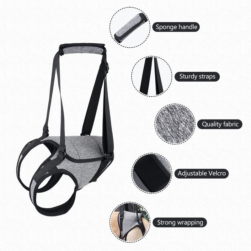 Dog Lift Harness for Back Legs - Adjustable Support Sling for Injured, Disabled & Elderly Dogs, Soft Padded Leg Brace Aid for S/M/L Dogs, Walking & Rehab Support (Grey, L) Grey