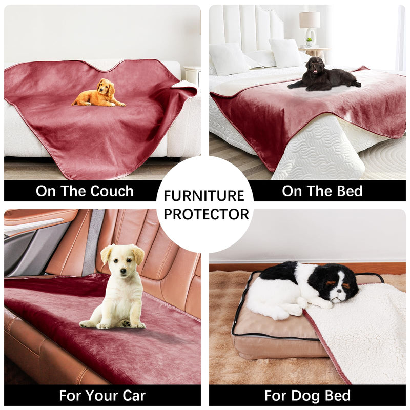 Waterproof Dog Blankets for Large Dogs, Washable Pet Blanket for Indoor Cats, Plush Sherpa Puppy Throw Furniture Protector for Bed Couch Sofa(40"x50",L,Burgundy Red) Burgundy Red 40x50 Inches - PawsPlanet Australia