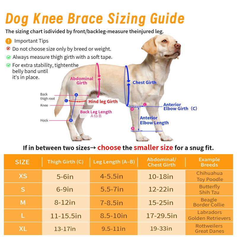 Dog Knee Brace for ACL and CCL Recovery – Provides Strong, Adjustable Support for Hind or Front Legs, Helps Improve Walking Ability, Enhance Mobility, and Promote Post-Injury Healing, M Blck