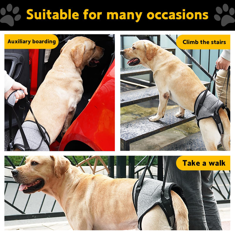 Dog Lifting Harness for Back Legs, Dog Support Harness Slings for Large Medium Small, Adjustable Dogs Brace for Hind Leg, Support Strap for Injured Disabled Elderly Dogs Walking Aid (XL) XL