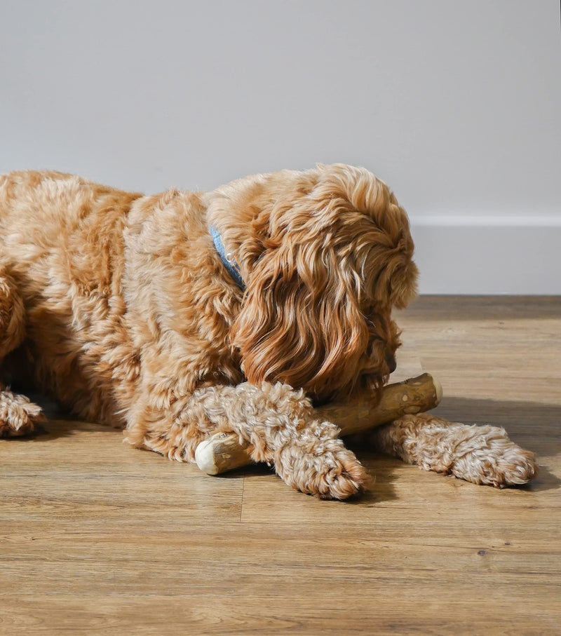 Rosewood Goodwood, Coffee Wood Dog Chew Toy, Medium 200g - 300g, Brown - PawsPlanet Australia