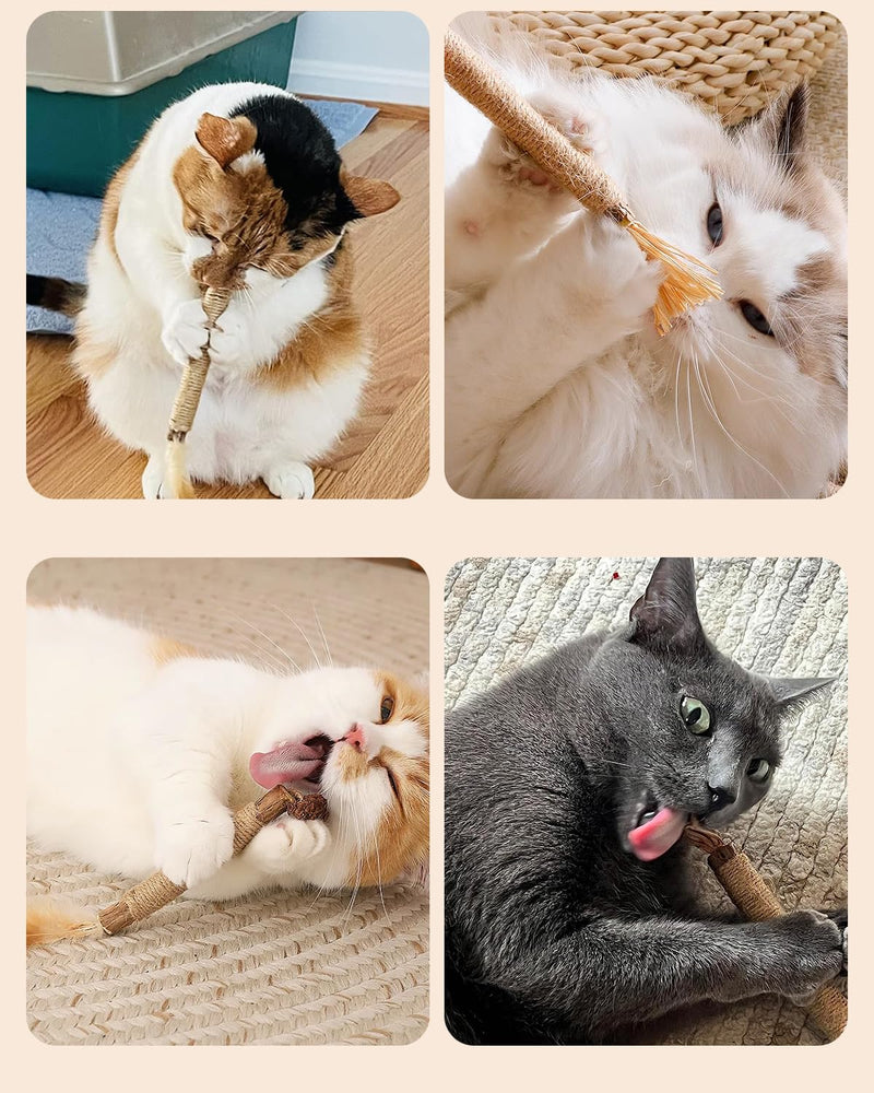 Tocirelo Silvervine Sticks Cat Toys - 6 Pack Natural Cat Chew Stick Toy for Cat Dental Care Teeth Cleaning, Matatabi Cat Nip Treat Toys for Indoor Cats Kittens Silvervine 6Pack