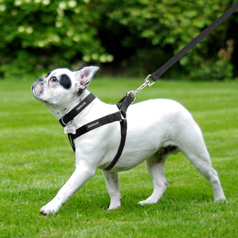 No Pull Dog Harness - Adjustable Step-in Harness & Leash & Collar Set for Small Medium Large Dogs - Escape Proof Soft Pet Harness for Walking, Training, Hiking, Outdoor Activities SMALL (chest: 14.8"-21" neck: 7.5"-10.2" ) Black - PawsPlanet Australia