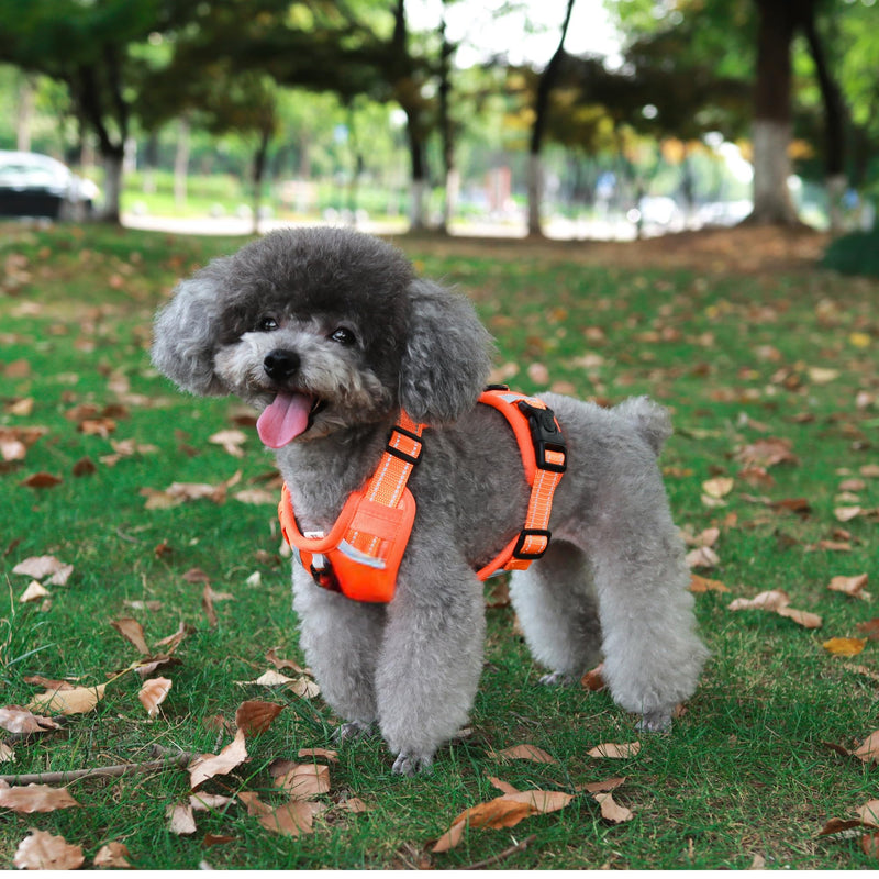 [3 in 1] Heavy Duty Dog Harness, No-Pull Reflective Tough Trim Harness for Small, Medium & Large Dogs - Military Grade Nylon, 2 Leash Clips & Handle with Padded Leash and Brush (Orange, Extra Large) Orange - PawsPlanet Australia