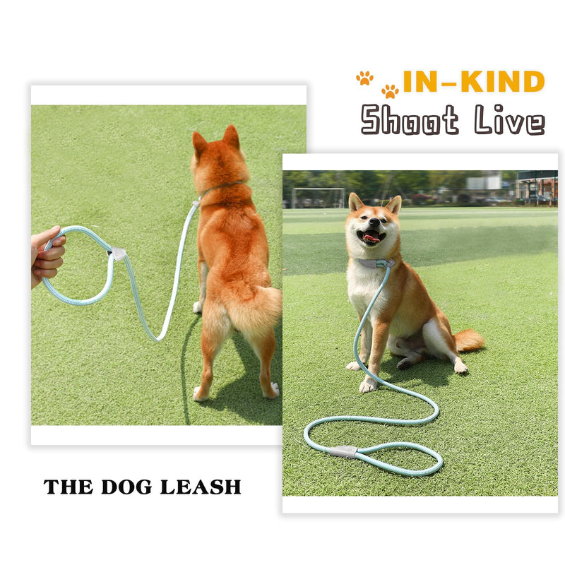 Durable Slip Lead - 5 FT Slip Leads for Dogs, Slip Lead Dog Leash Adjustable Dog Training Leash, Strong Nylon Rope Slip Leash for Large Medium Small Dogs (Green) Green - PawsPlanet Australia