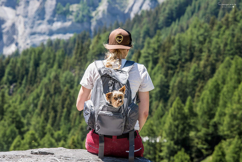 Outward Hound Poochpouch Backpack Small Dog Carrier, Grey - PawsPlanet Australia