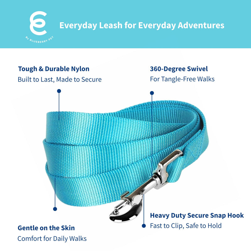 Blueberry Pet Essentials Turquoise Dog Leash for Small -5' * 5/8" Dogs | Heavy Duty Nylon Lead | Lightweight Puppy & Cat Leash for Walking & Training - PawsPlanet Australia