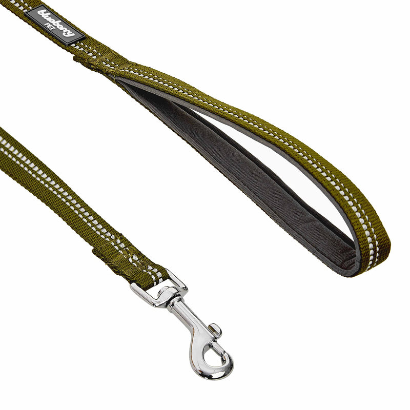 Blueberry Pet 3M Reflective Pastel Color Dog Leash with Soft & Comfortable Handle, 5 ft x 3/4", Olive Green, Medium, Leashes for Dogs Large - PawsPlanet Australia