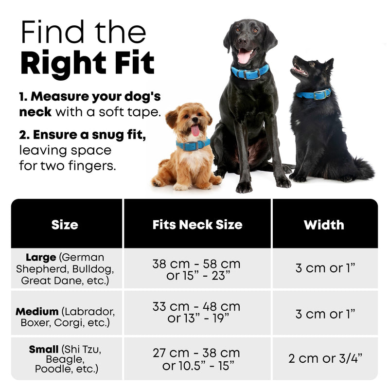 Waterproof Standard Dog Collar with Black Hardware Double Buckle & D Ring with Matching 5' Leash Combo Small Black Harware Light Blue