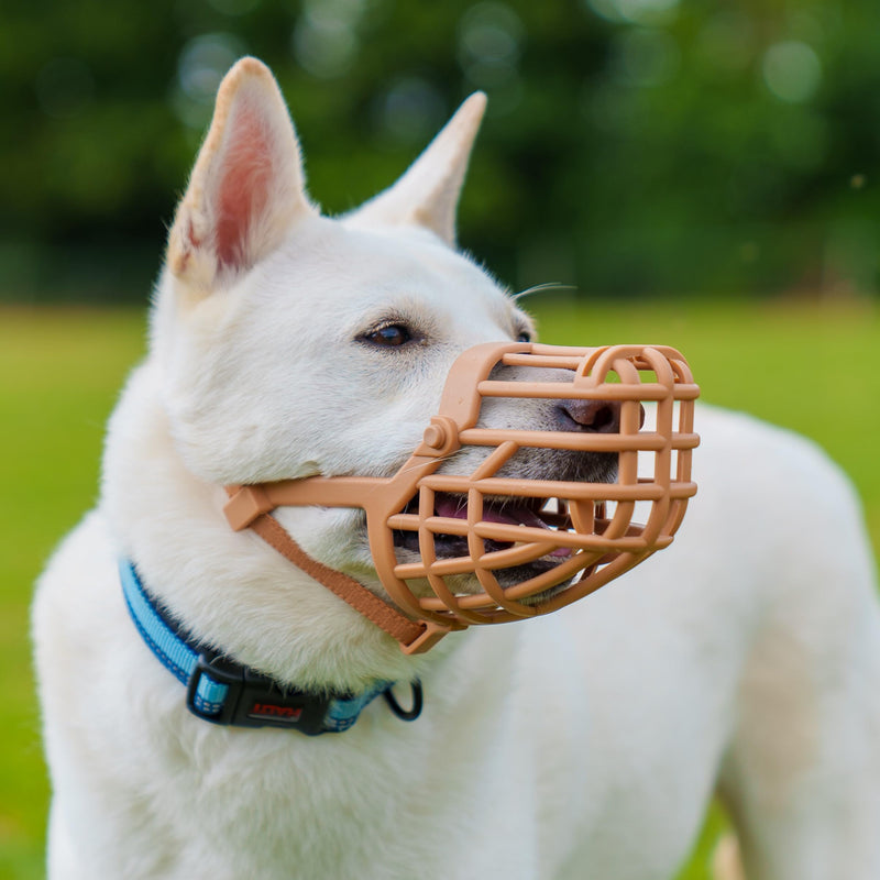 Baskerville Classic Basket Muzzle - Dog can Pant and Drink, Prevents Biting and Food Waste Scavenging, Strong TPR, Ideal for Longer Nosed Dogs, Breathable Dog Training Muzzle for Large Dogs (Size 10) - PawsPlanet Australia