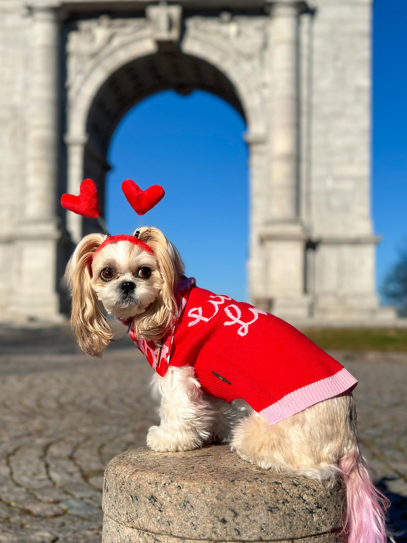 2 Pack Little Love and Sweet Hearts Turtleneck Dog Sweater, Dog Valentines Outfit, Thermal Dog Clothes for Small Dogs Girl, Pet Cat Winter Outfit, Red, Pink, Small - PawsPlanet Australia