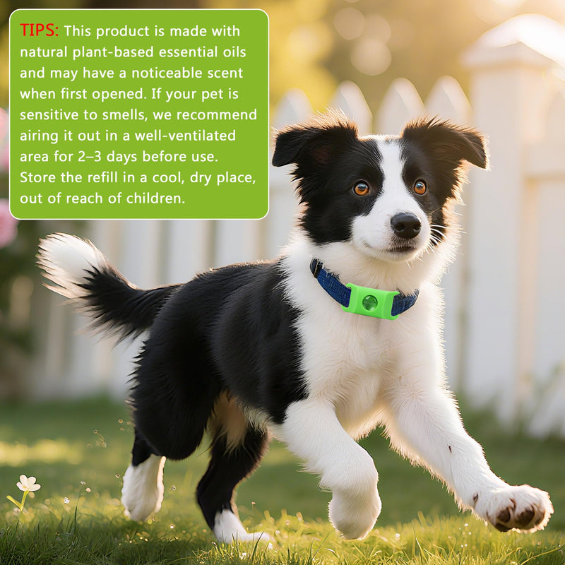 Natural Flea and Tick Prevention Dog Tag – Waterproof Collar Pendant with 2 Extra Refills, Green, Safe for All Breeds Collar Not Included green pendant+2refills - PawsPlanet Australia