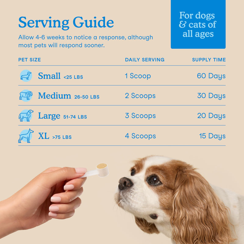 Fera Pets Cat & Dog Dental Support Powder - Supports Fresh Breath - Promotes Healthy Teeth and Gums - Targets Tartar Build-Up - Includes Kelp, Enzymes & Postbiotics - 60 Scoops - PawsPlanet Australia