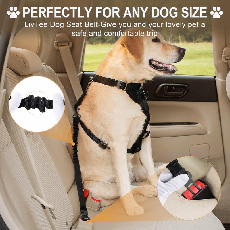 LivTee Dog Seat Belt for Car, Retractable Pet Safety Harness, Adjustable Nylon Dog Seatbelt Leash, Comfortable Dog Accessories for Vehicles (Black-2PCS) Black-2PCS - PawsPlanet Australia