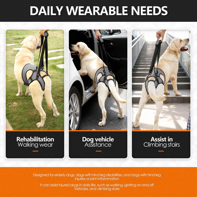 Dog Lifting Harness, Dog Support Harness Slings for Back Legs，Adjustable Dogs Support Strap for Injured Disabled Elderly Dogs (XL) XL