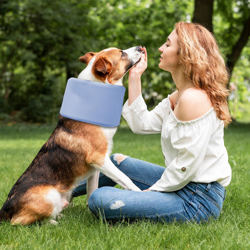 Dog Collar for Dogs to Prevent Licks, Adjustable Protective Shield, Dog Support - For Use in Veterinary Medical Clinics, for Puppies, Cats, Medium and blue M