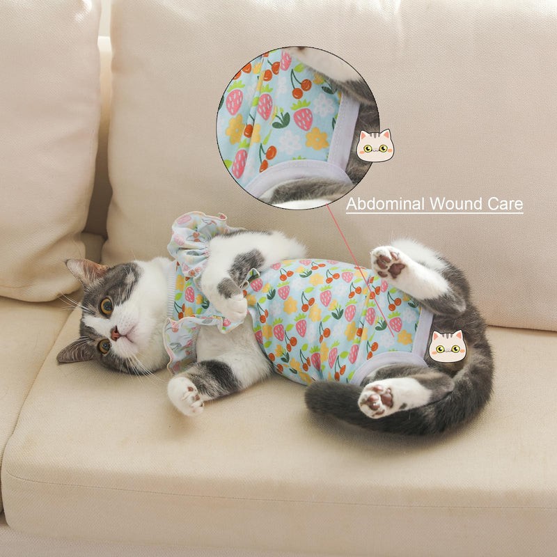 Yeapeeto Cat Recovery Suit 2 Packs After Surgery Bodysuit for Cats, E-Collar Substitute Keep from Licking Abdominal Wounds, Kitten Breathable Clothes, Warm After Shaving (Small) Small Rinbow+Fruit - PawsPlanet Australia