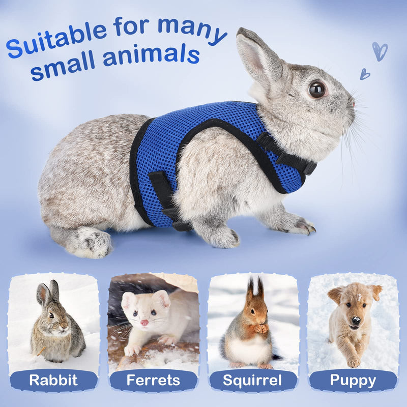 Pettom Bunny Rabbit Harness with Stretchy Leash Cute Adjustable Buckle Breathable Mesh Vest for Kitten Small Pets Walking (L(Chest:10.6-13.3 in), Blue) L(Chest:10.6-13.3 in) - PawsPlanet Australia