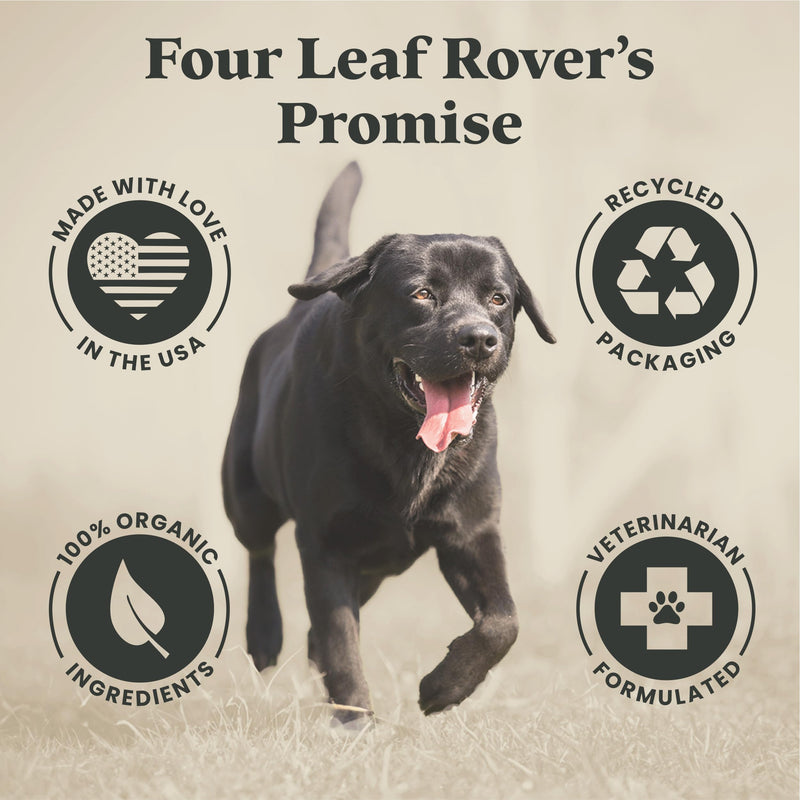 Gut Guard - Dog Probiotics, Prebiotics, and Organic Herbs for Dog Gut Health and Dog Immune Support - Veterinarian Formulated - 30 Day Large Dog Supply - PawsPlanet Australia