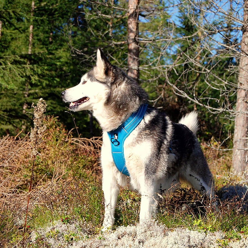 Truelove Dog Harness With Handle Soft Padded Pet Harness Vest,Reflective Material,Adventure Training,Strong Oxford Outer Layer for larger dogs TLH5551 (Blue,S) S Blue