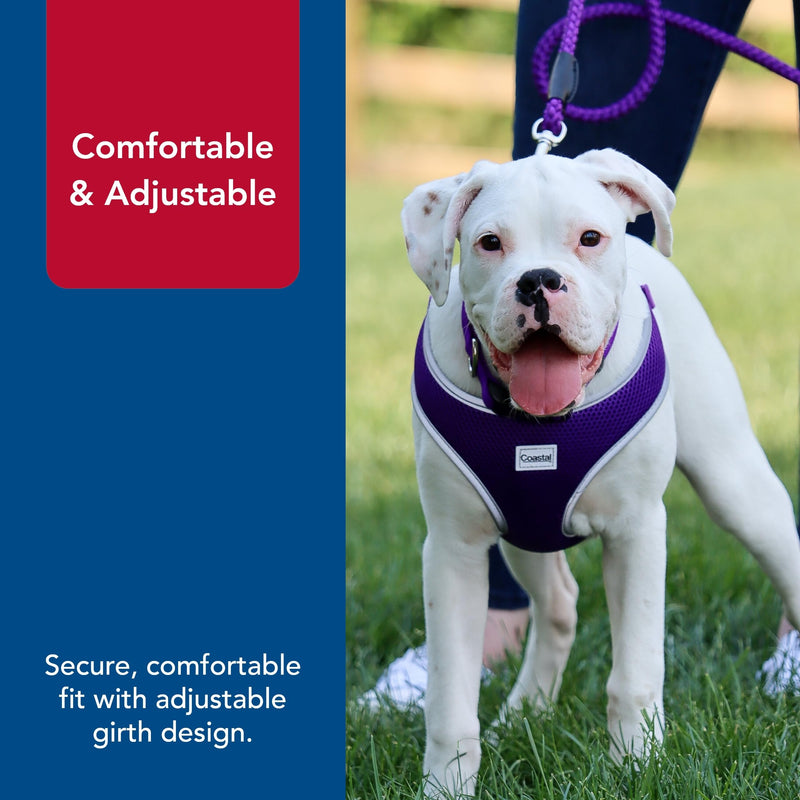 Coastal Pet Comfort Soft Reflective Wrap Adjustable Dog Harness - No-Pull Dog Harness for Small & Large Dogs - Purple - 1" x 28"–36" - PawsPlanet Australia