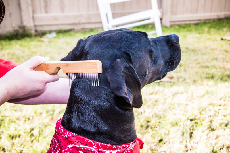 Detangling Pet Comb for Matted Hair and Detangler, with Long & Short Stainless Steel Teeth for Dog and Cat- Natural Easy Grooming Tool - PawsPlanet Australia