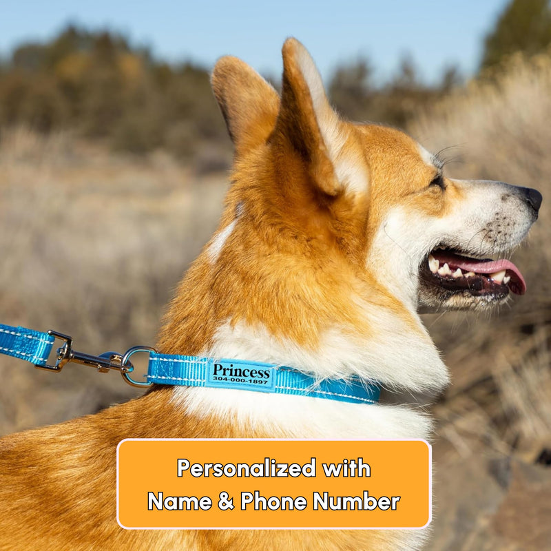 PAWBLEFY Personalized Dog Collars - Reflective Nylon Collar Customized with Name and Phone Number Adjustable Sizes for Small Dogs, Medium, Large 4 Colors Male Female boy Girl Puppies UPGRADED VERSION(CLASSIC) - PawsPlanet Australia