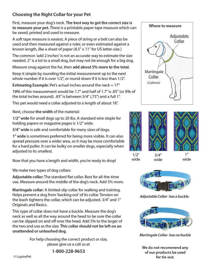 Lupine Dog Collar 1" Wide El Paso Design adjusts 16-28" Long - PawsPlanet Australia