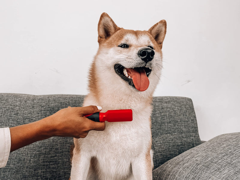 Tuff Pupper Deep Knot and Mat Remover Tool | Dematting Brush for Dogs, Cats, and Small Animals | Mat Splitting Grooming Comb for Long and Short Fur Pets - PawsPlanet Australia