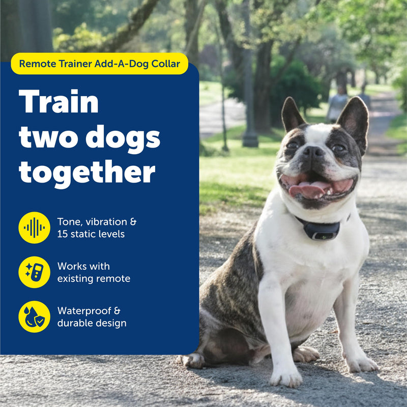 PetSafe Pro Trainer Add-A-Dog Collar - Waterproof & Rechargeable Remote Behavior Training Collar - Double Pairing Compatible for Multi-Pet Households - Small/Medium Little Dog (Lite) - PawsPlanet Australia