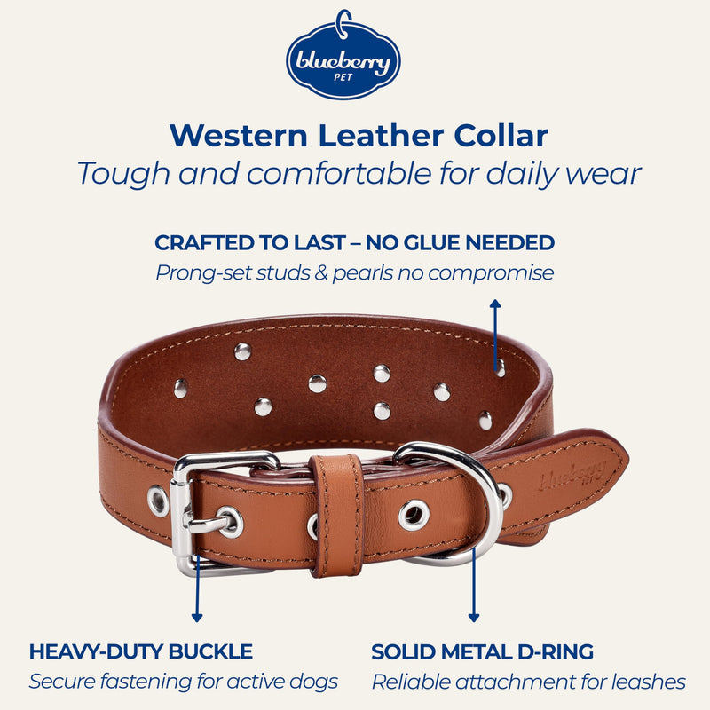 Blueberry Pet Genuine Leather Dog Collar - Western-Inspired Brown Leather Dog Collar for Large Dogs with Floral Embroidery & Turquoise Studs, 18-22 Inch Adjustable & Durable for City Pet Owners Canyon Brown