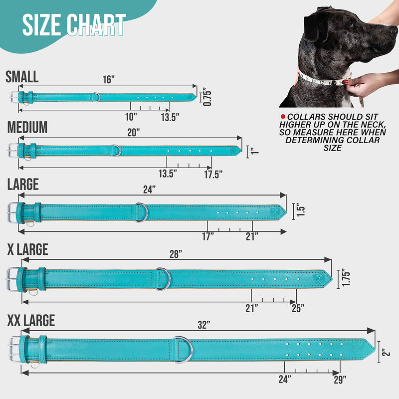 Riparo Genuine Leather Padded Dog Heavy Duty K-9 Adjustable Collar XL Aqua - PawsPlanet Australia