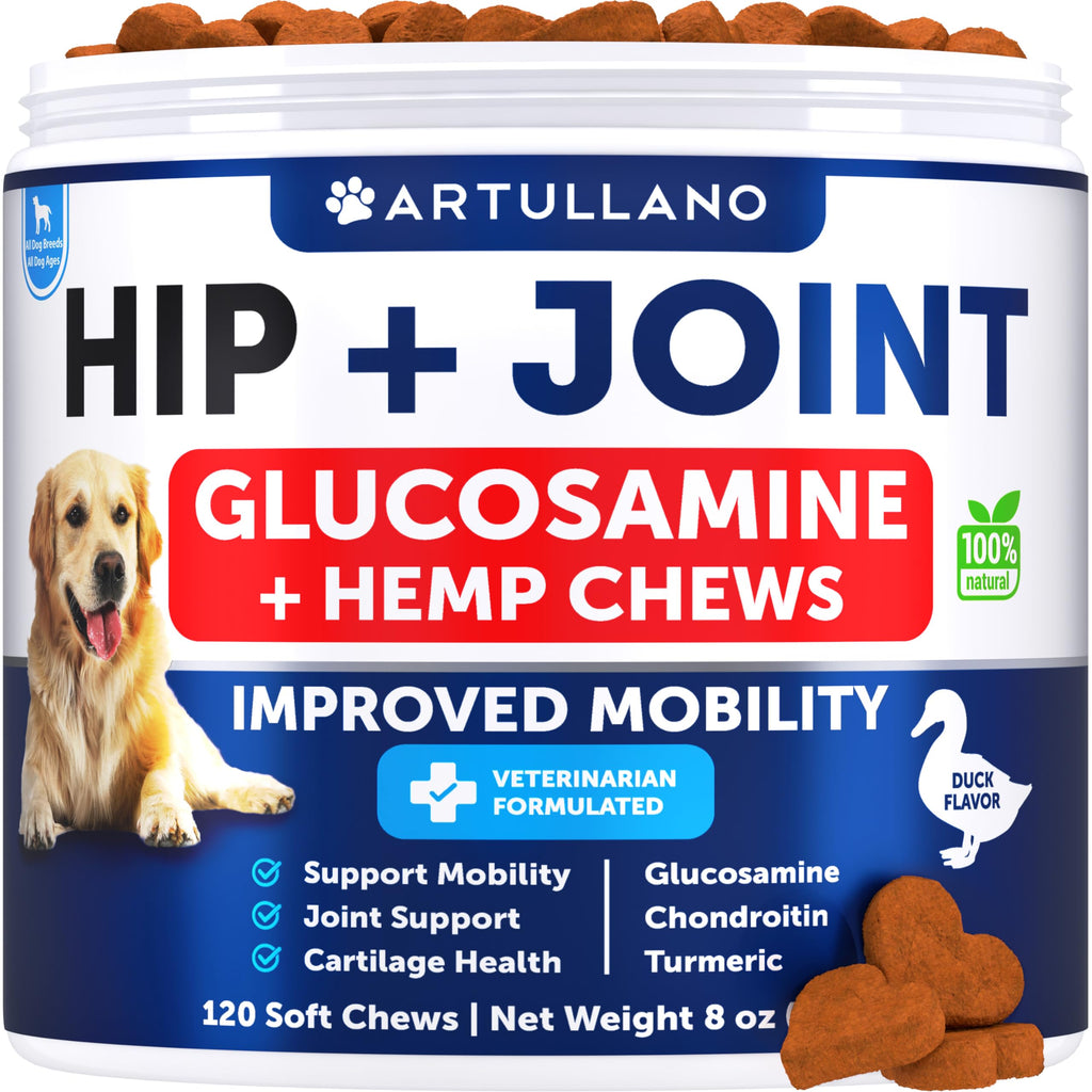 Hemp Hip and Joint Supplement for Dogs - Glucosamine for Dogs - Dog Joint Pain Relief Treats - Chondroitin - MSM - Hemp Oil - Mobility Support - Advanced Canine Joint Health - Made in USA - 120 Chews Hemp Hip & Joint