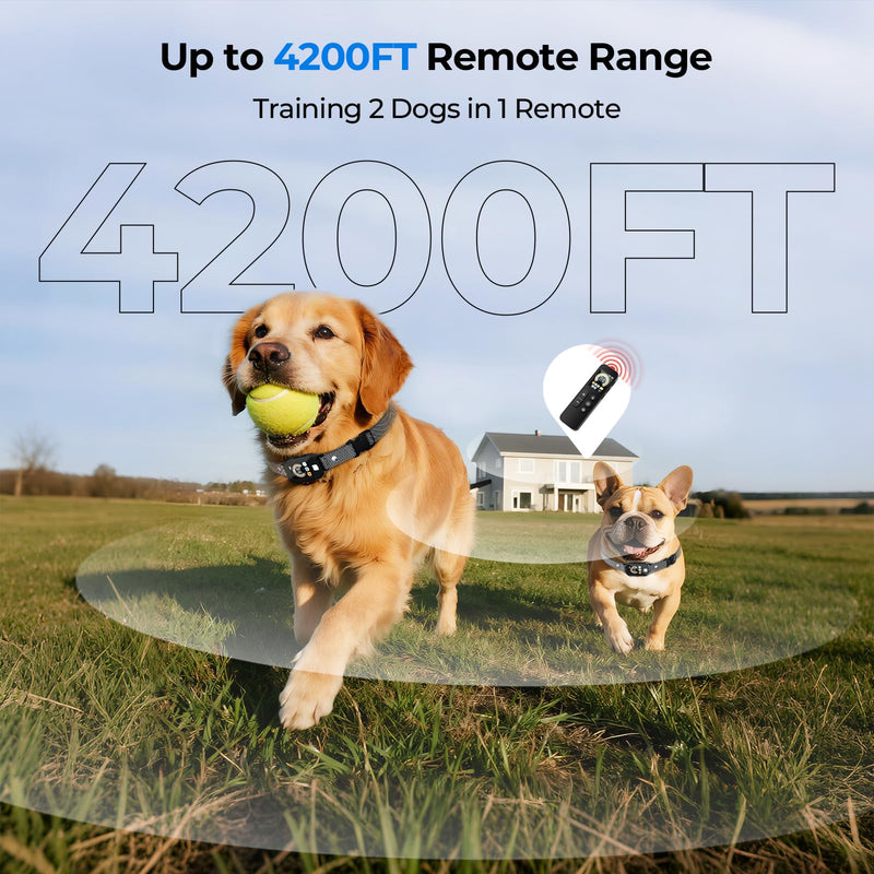 Dog Shock Collar for 2 Dogs (10-120Lbs), 4200FT Remote Training Collar with Light for Night Walks, 3 Training Modes, IP67 Waterproof Rechargeable E-Collar with Exclusive Shock Lock - PawsPlanet Australia