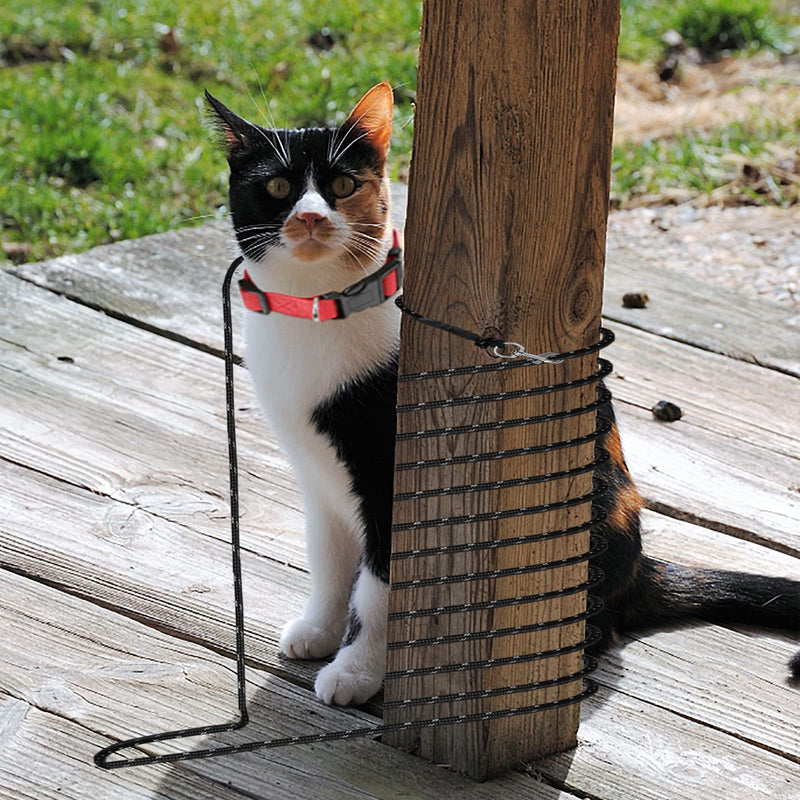 Extra Long Cat Leash for Yard, Lightweight Outdoor Cat Leash Long Light Extension, Long Thin Lead for Rabbits, Kitten, Puppy and Small Animals (4.5M/ 15FT) 4.5M/15FT - PawsPlanet Australia