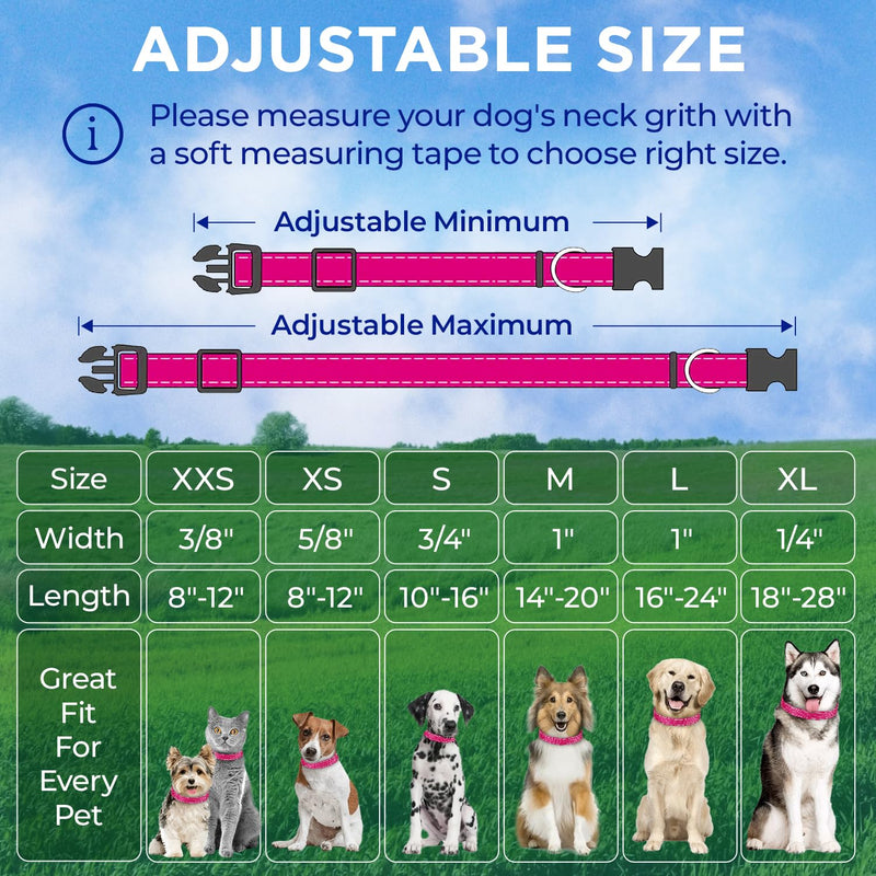 TECEUM Reflective Dog Collar – Hot Pink – XXS – Basic Nylon Pet Collar – Quick Release Buckle – Fits Small, Medium and Large Dogs, Puppies, Cats – ESA & Service Dog Options