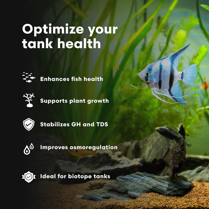 Brightwell Aquatics Remineralīz-P – Restores GH & TDS for Freshwater Aquariums, Replenishes Essential Minerals for RO & Distilled Water, Supports Fish & Plant Health, 250g 250-g - PawsPlanet Australia