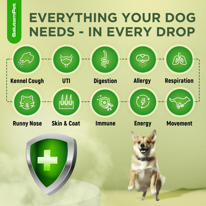 Natural Antibiotics for Dogs | Dog Antibiotics | Supports Dog Allergy Relief | Dog Itch Relief | Dog Allergy Support | Dog Multivitamin | Pet Antibiotics | Dog Antibiotics | 2 Oz Chicken - PawsPlanet Australia