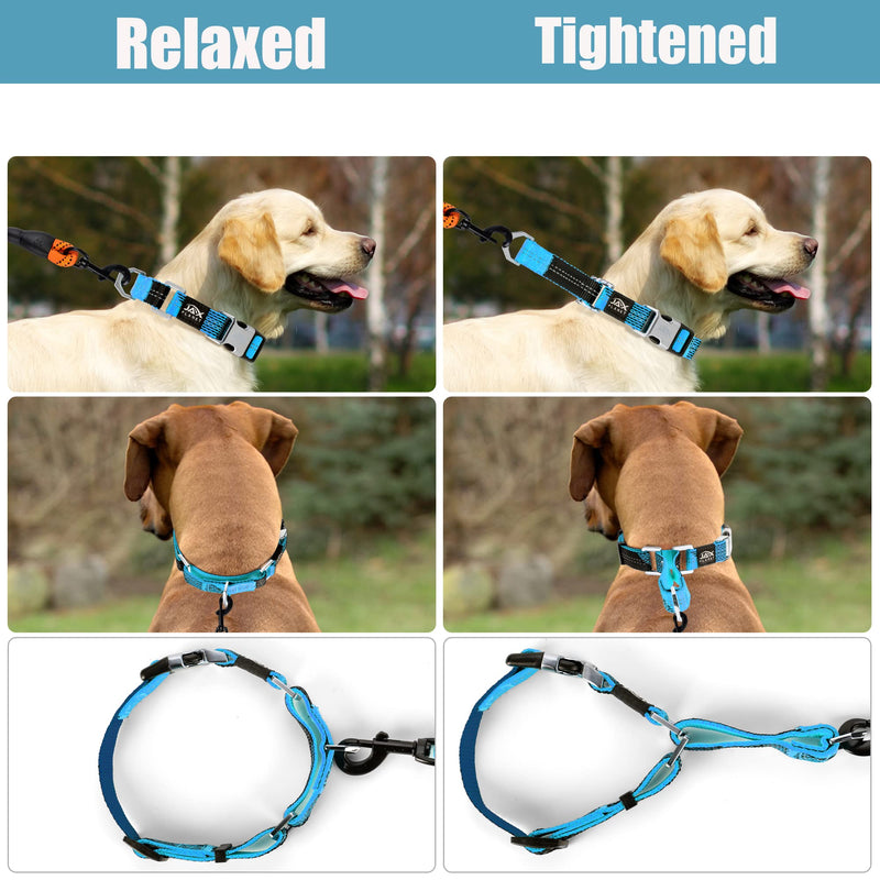 Colorful Martingale Collar for Dog Training -[Neoman] Safe & Humane Reflective Dog Collar for No Pull Training, Walking - Heavy Duty D-Ring, Quick-Release Buckle, Adjustable Clip [Large Blue] Large-NeckGirth:15.8~20.5Inch - PawsPlanet Australia