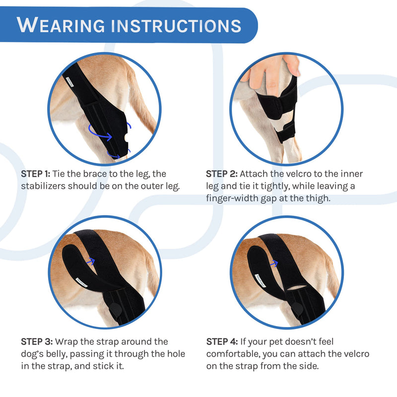 Dog Knee Brace for Dog ACL Brace Hind Leg or Rear Leg, CCL Brace Hind Leg (Size: S) - PawsPlanet Australia