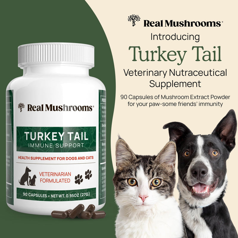 Turkey Tail Pet Support - Dog Multivitamins and Supplements for Immune Support, Gut Health & Wellness - Grain-Free, Gluten-Free, Vet-Approved Dog Supplement (90ct) Turkey Tail Mushrooms Pet - PawsPlanet Australia