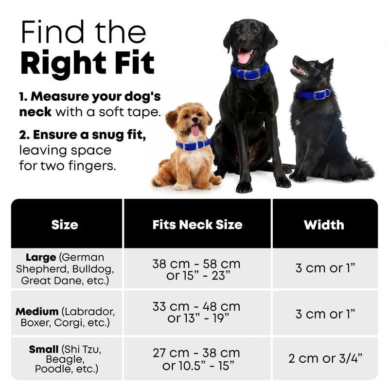 Regal Dog Products Large Blue Waterproof Dog Collar and Leash Set | Heavy Duty Double Buckle & D Ring - 5'ft Leash | Adjustable Biothane Dog Collar | Chew Resistant Waterproof Collar for Dogs Large Collar & Leash